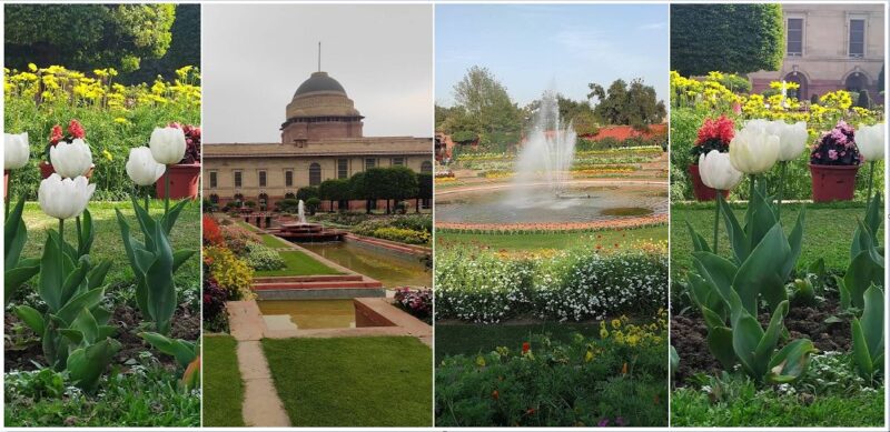 Mughal garden timing 2024