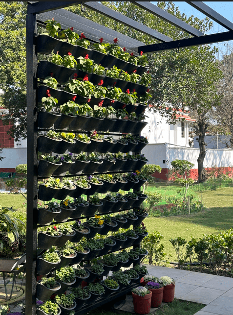 Vertical garden mughal garden